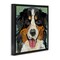 Stupell Industries Bernese Mountain Dog Collage Framed Floater Canvas Wall Art